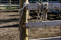 Bar C Ranch Hotel Cochrane Zewnętrze zdjęcie
